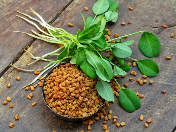 Fenugreek Seeds (Methi Dana)
