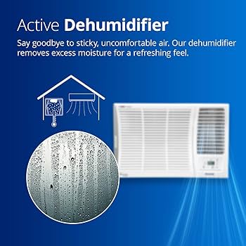 Organic Vegetable Box